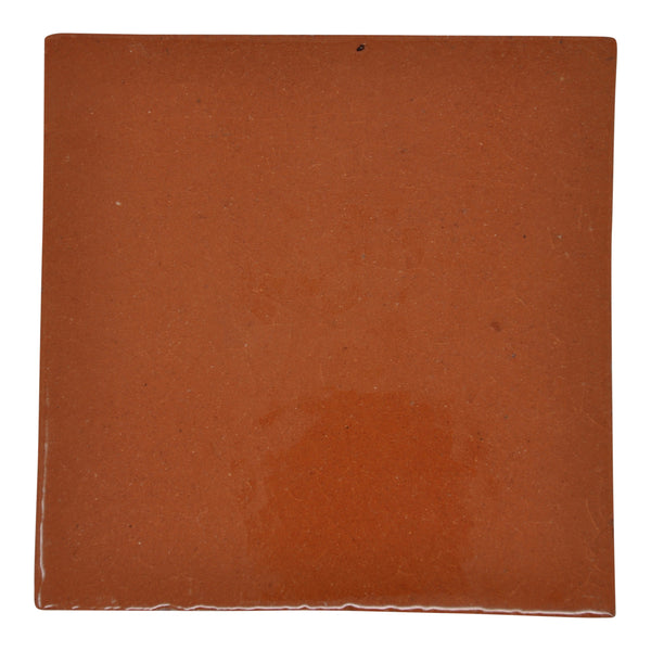 "Notas de Naranja" Tile Collection - 25 x 10.5cm Assorted Talavera Mexican Handmade Tiles